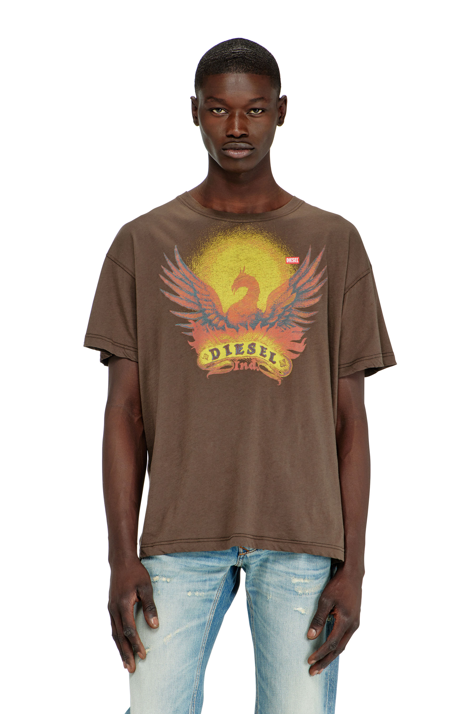 Diesel - T-NORM-AA1, Man's Regular T-shirt with Phoenix print in Brown - 1