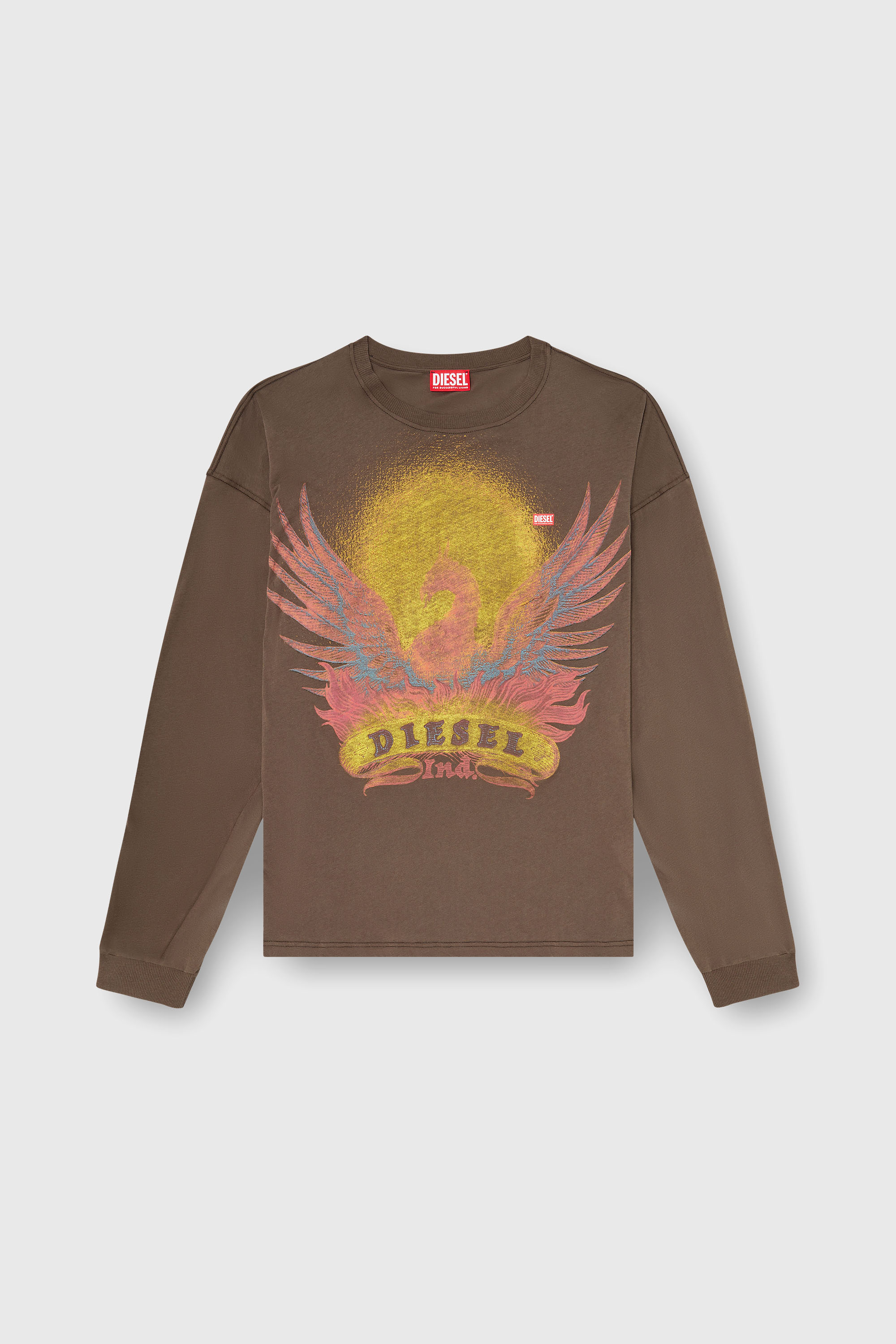 Diesel - T-BOXT-LS-AA1, Man's Long sleeve T-shirt with Phoenix graphic in Brown - 2